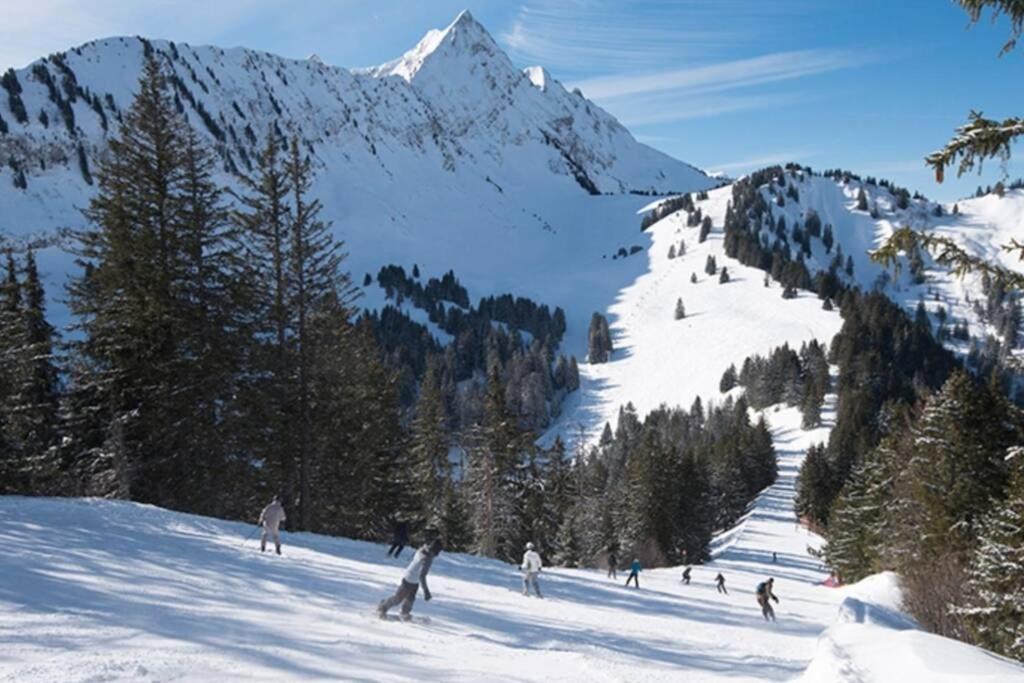 Les Cimes, Chaleureux studio 4 pers, 50m du télécabine, vue dégagée sur les pistes, DRAPS NON COMPRIS Saint-Jean-dʼAulps Esterno foto